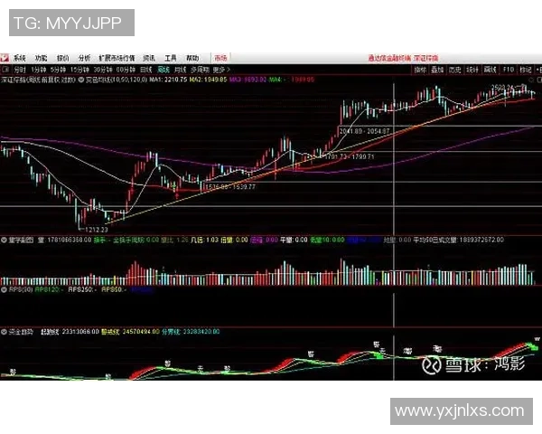 足球场传奇20号球星的辉煌轨迹与经典瞬间解析