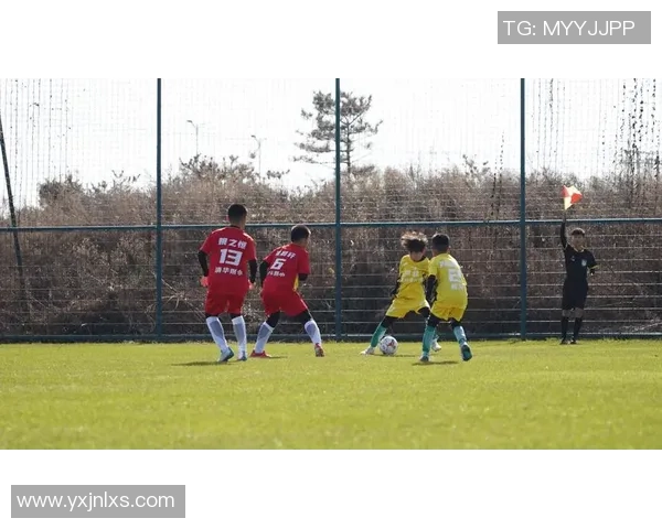 追随绿茵传奇见证足球巨星拼搏精神点燃梦想力量